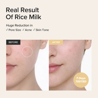 Beauty of Joseon,Glow Replenishing Rice Milk,toner,Skin-Nomad