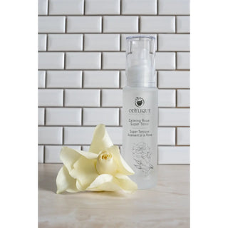Odylique,Calming Rose Super Tonic,toner,5060099031250,Skin-Nomad