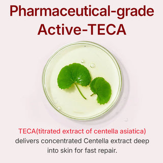 Centellian24,Madeca Cream Time Reverse,Lotions & moisturisers,Skin-Nomad