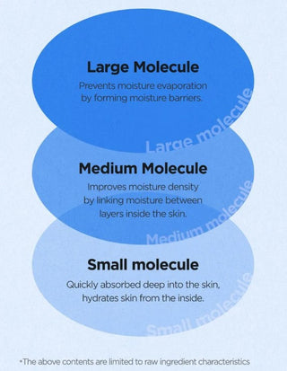 ISNTREE,Hyaluronic acid Aqua gel Cream,moisturizer,8809686383566,Skin-Nomad