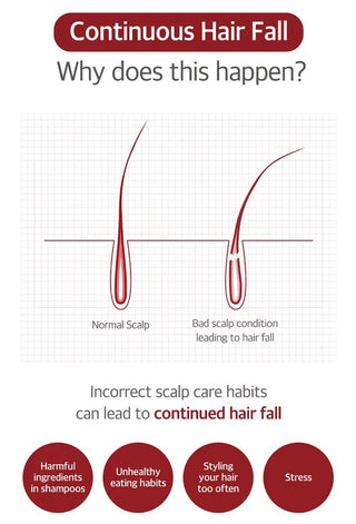 KUNDAL,Head Spa & Scalp Care+ Scalp Tonic,Hair Care,Skin-Nomad