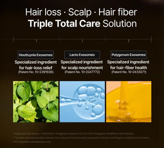 lilyeve,Grow:Turn Exosome Brush Ampoule,Hair Care,Skin-Nomad