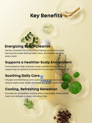 NINE LESS,Root-Biome Caffeine Scalp Shampoo,Hair Care,Skin-Nomad