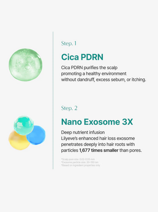 lilyeve,Scalp:Turn CICA PDRN Brush Ampoule,Hair Care,Skin-Nomad