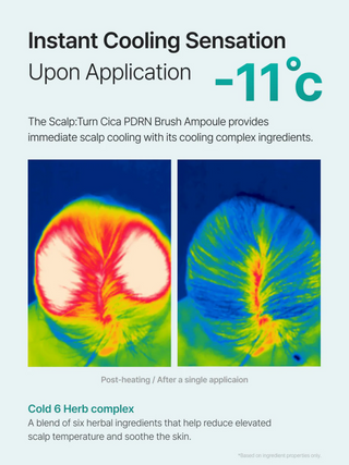 lilyeve,Scalp:Turn CICA PDRN Brush Ampoule,Hair Care,Skin-Nomad