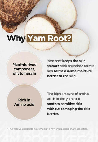 ISNTREE,Yam root Vegan Milk Cleanser,8809800940125,Facial Cleansers,Skin-Nomad